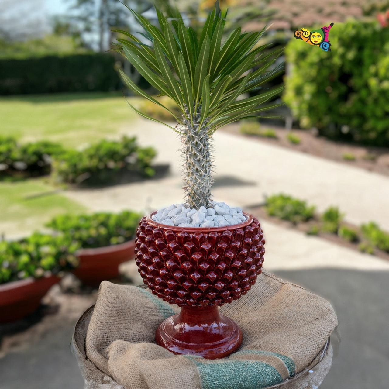 Vaso mezza pigna bordeaux in ceramica di Caltagirone - Ceramiche di Caltagirone Sofia