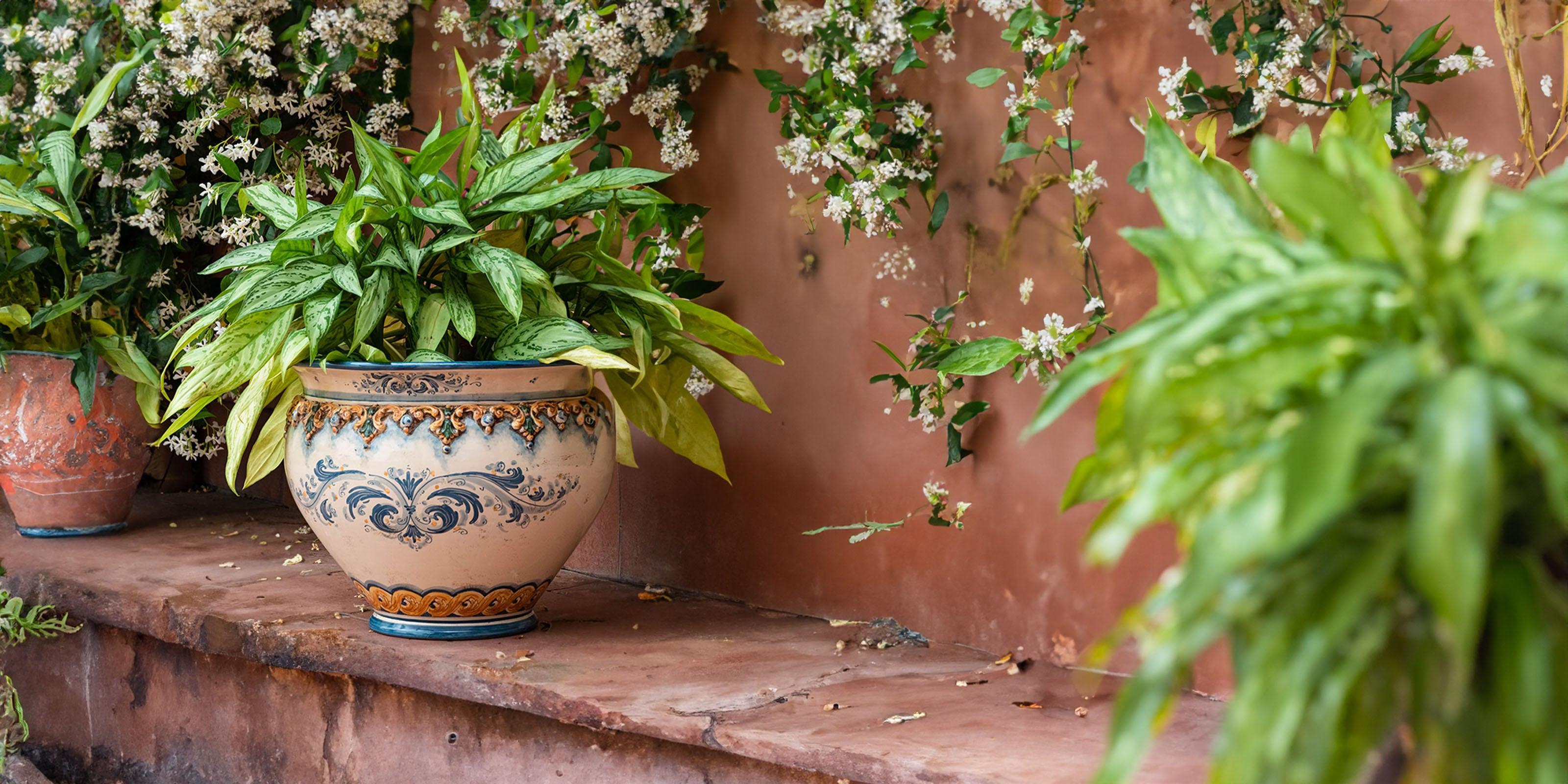 Cachepot: elemento essenziale per l'arredamento di casa - Ceramiche di Caltagirone Sofia